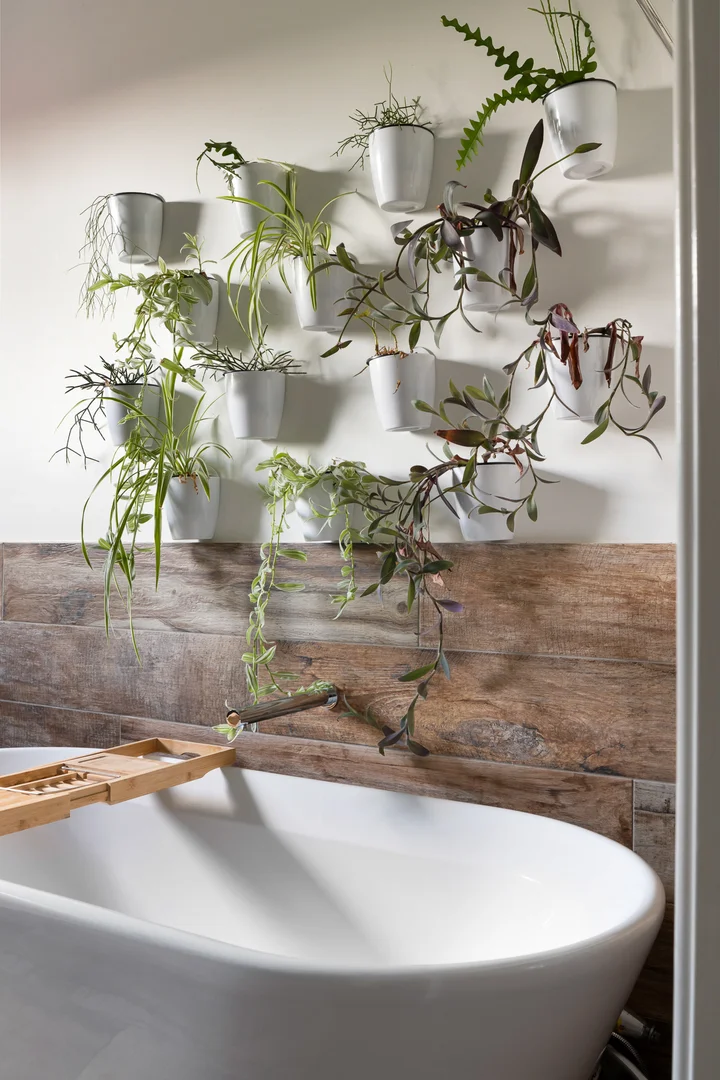 Additional image 24 of 65A Bulli Street, Moorabbin VIC 3189