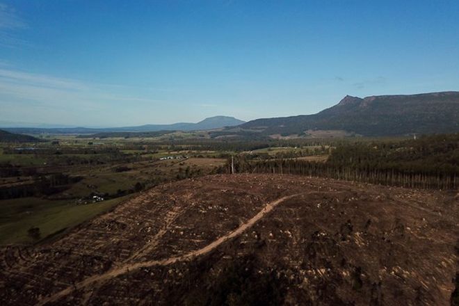 Picture of Lot 1 Crowdens Rd, WESTERN CREEK TAS 7304