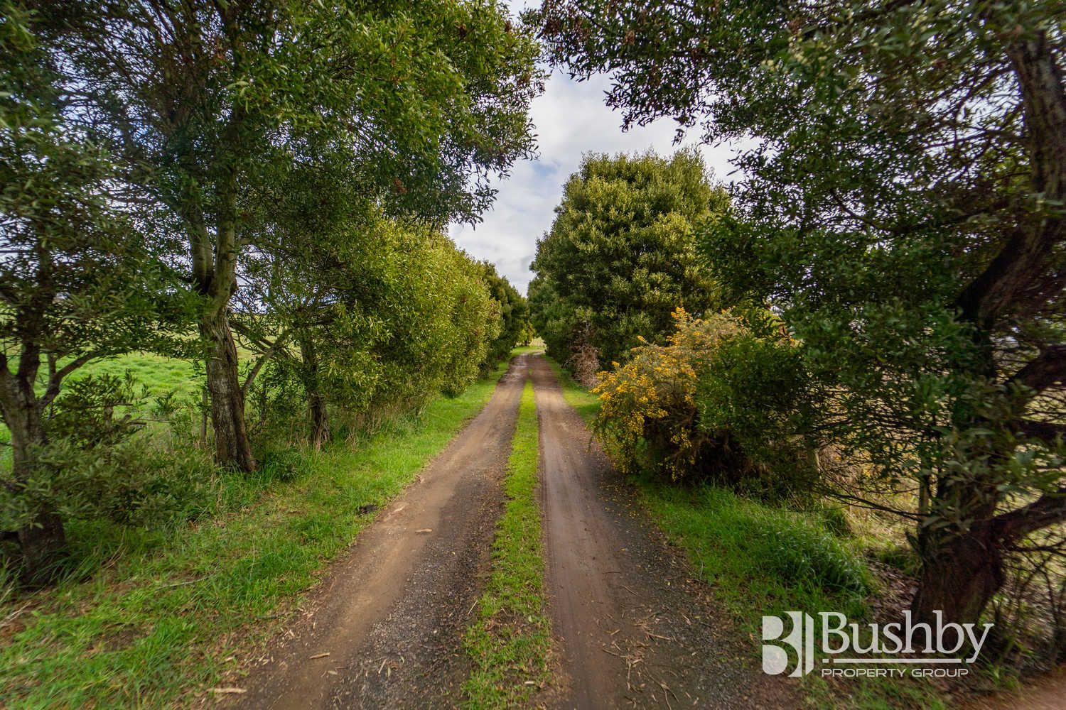 150 Mary Street, Westbury TAS 7303, Image 1