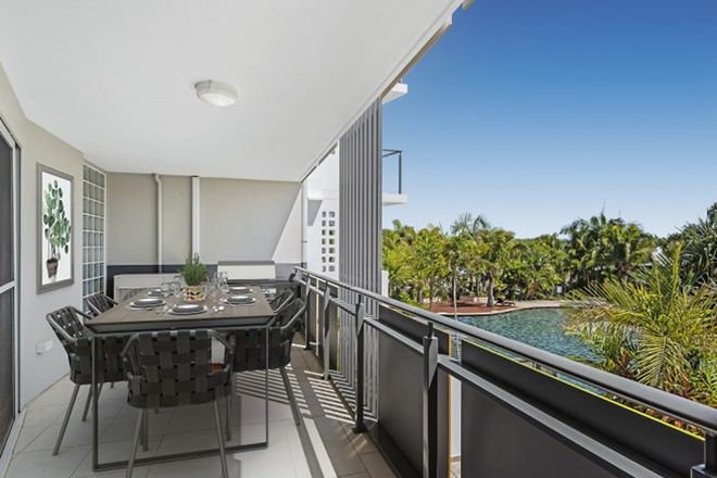 171 Apartments For Sale In Kawana Island Qld 4575 Domain