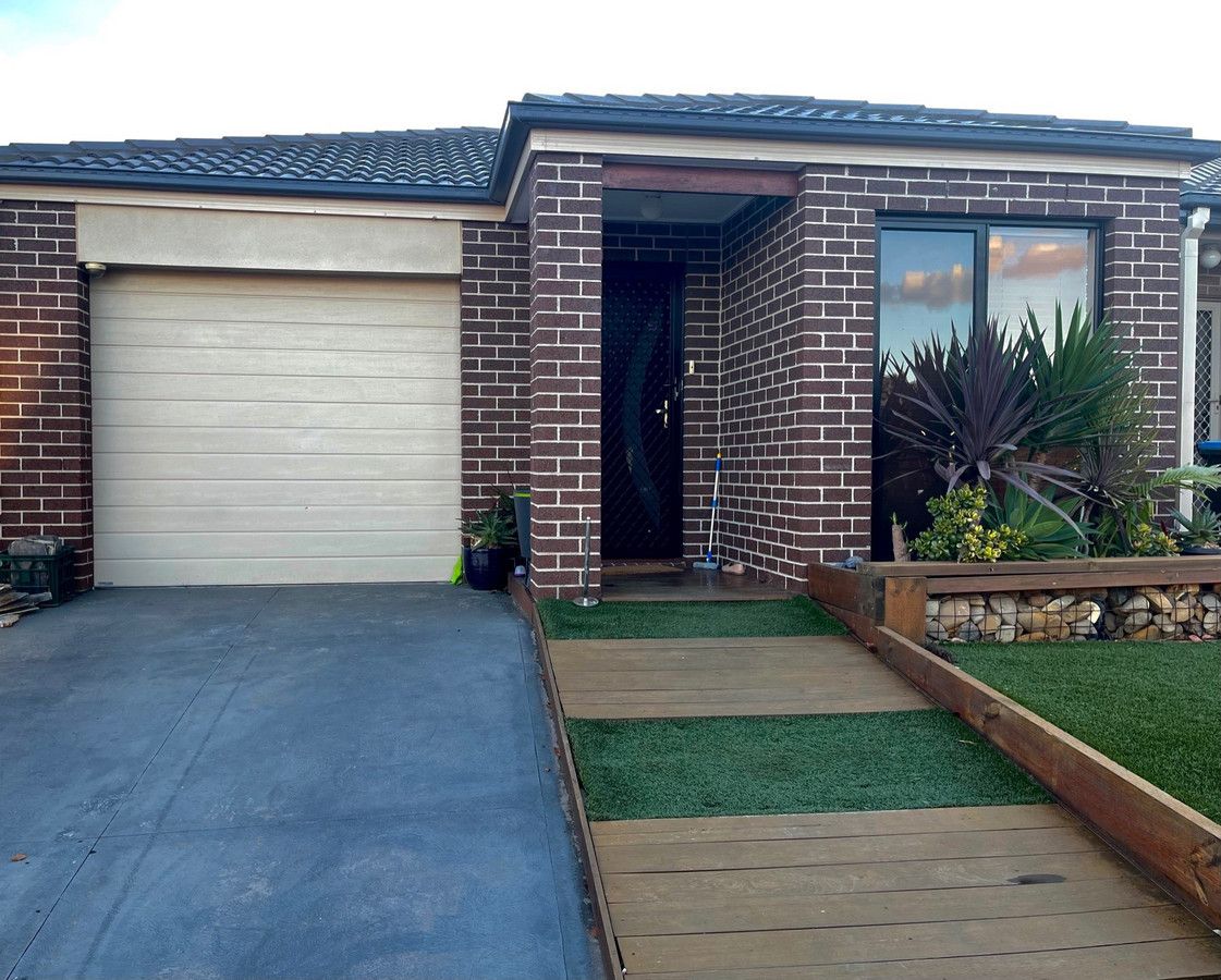 16 Treeleaf Avenue, Point Cook VIC 3030 House For Rent Domain