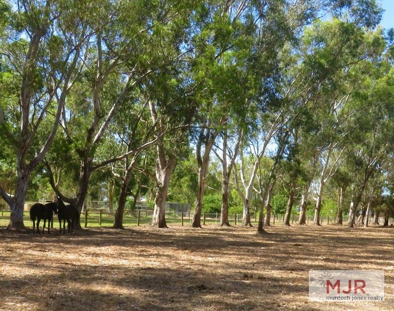 Lot 49 Comic Court Circuit, Darling Downs WA 6122, Image 0