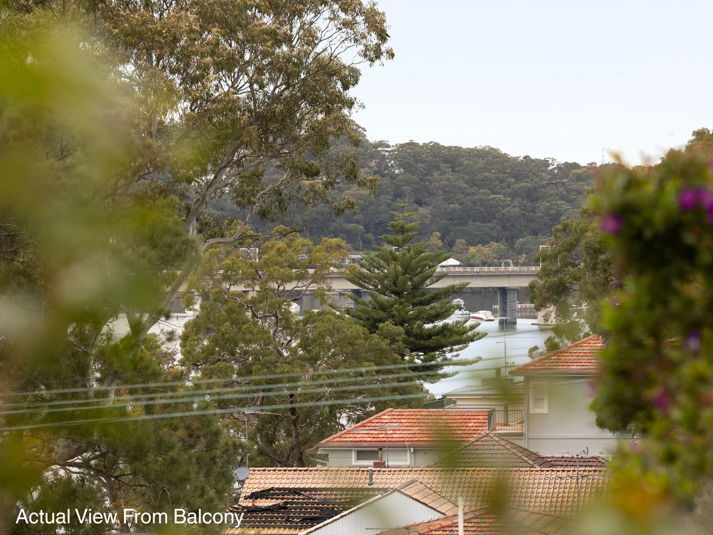 Additional image 21 of 59 Marine Drive, Oatley NSW 2223