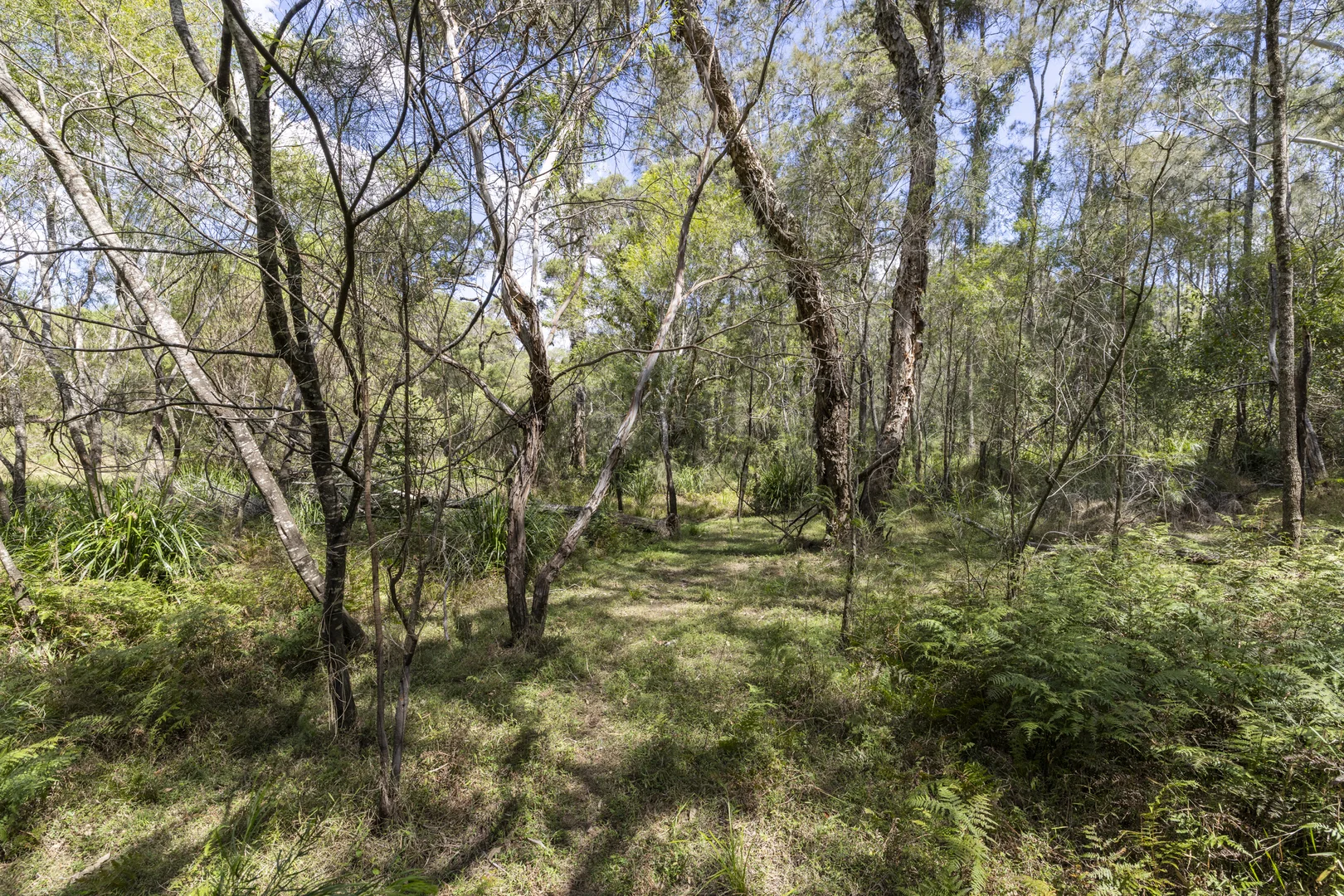 Additional image 7 of 95 Sunnyside Road, Pillar Valley NSW 2462