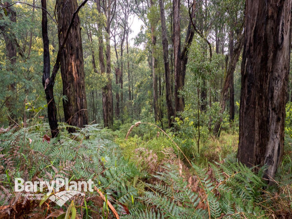 Lot 36 Mountain Road, Cockatoo VIC 3781, Image 1