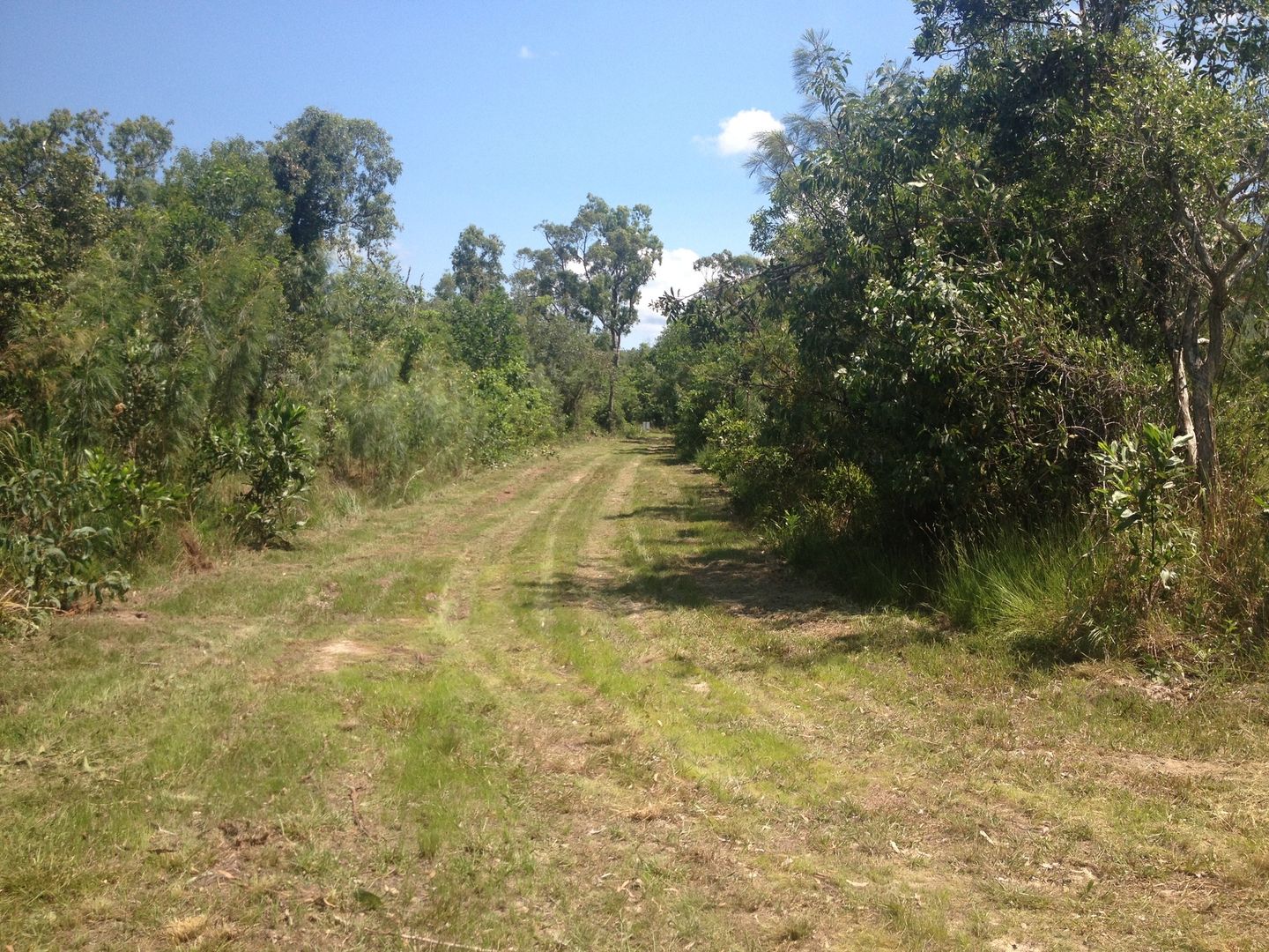 Lot: 6 Plan: C10416 Stony Creek Road, Cardwell QLD 4849, Image 2