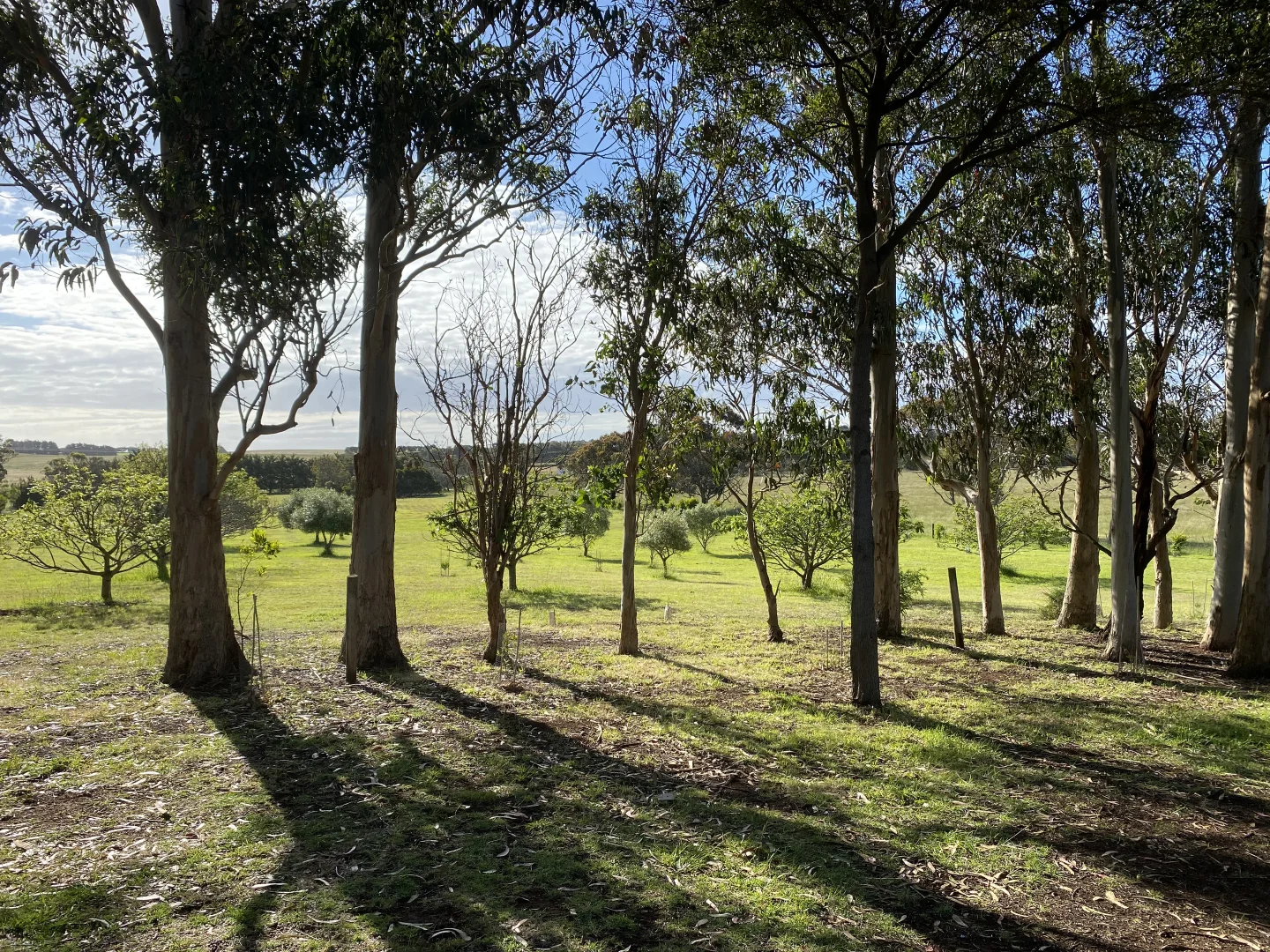 Additional image 26 of Cowes VIC 3922