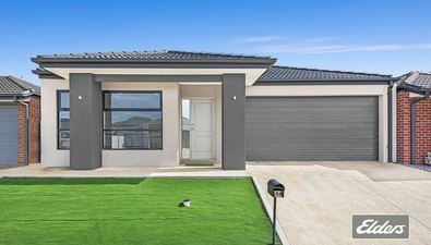 Picture of 5 MacLaren Drive, MELTON SOUTH VIC 3338
