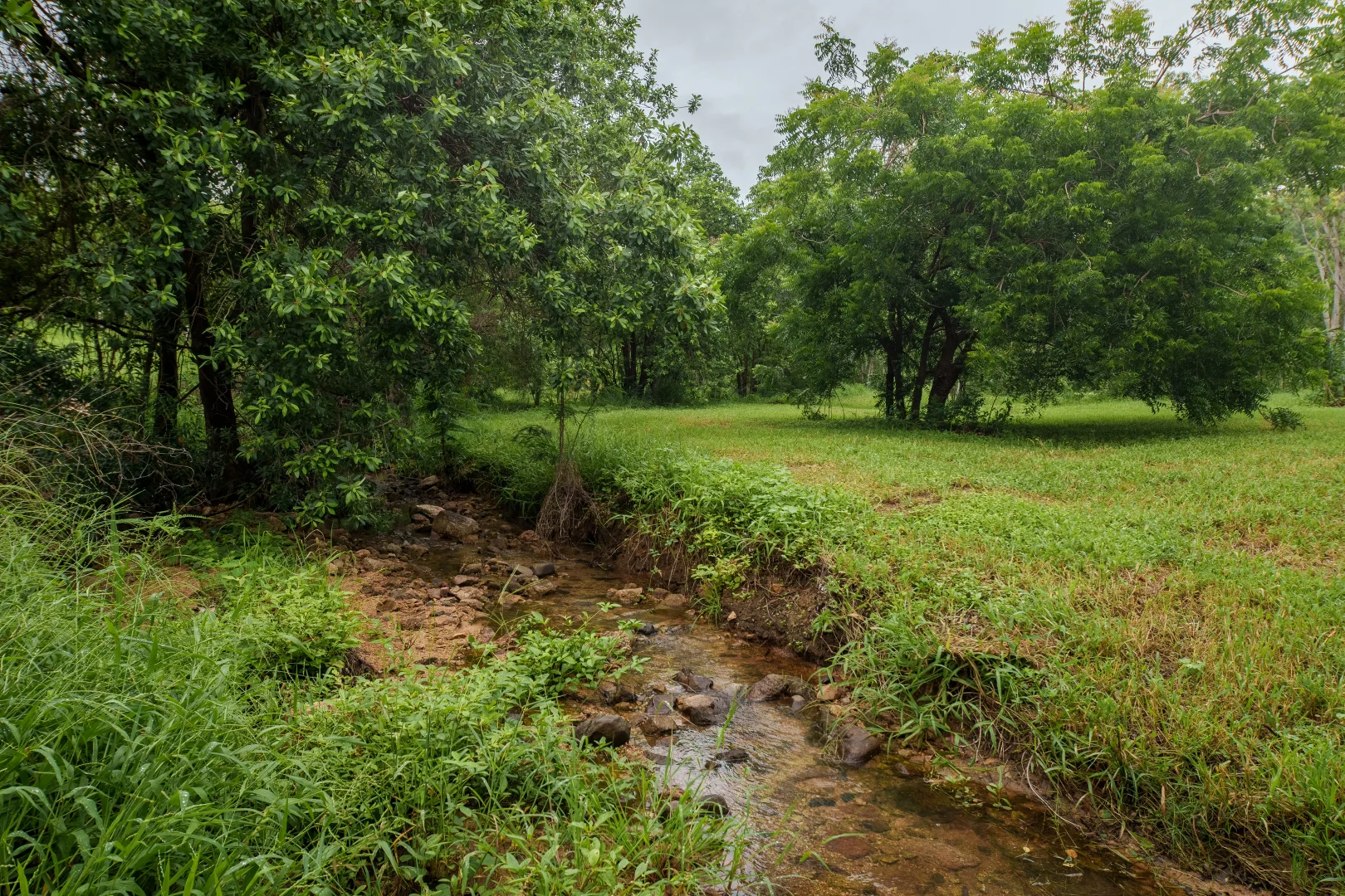 Image 33