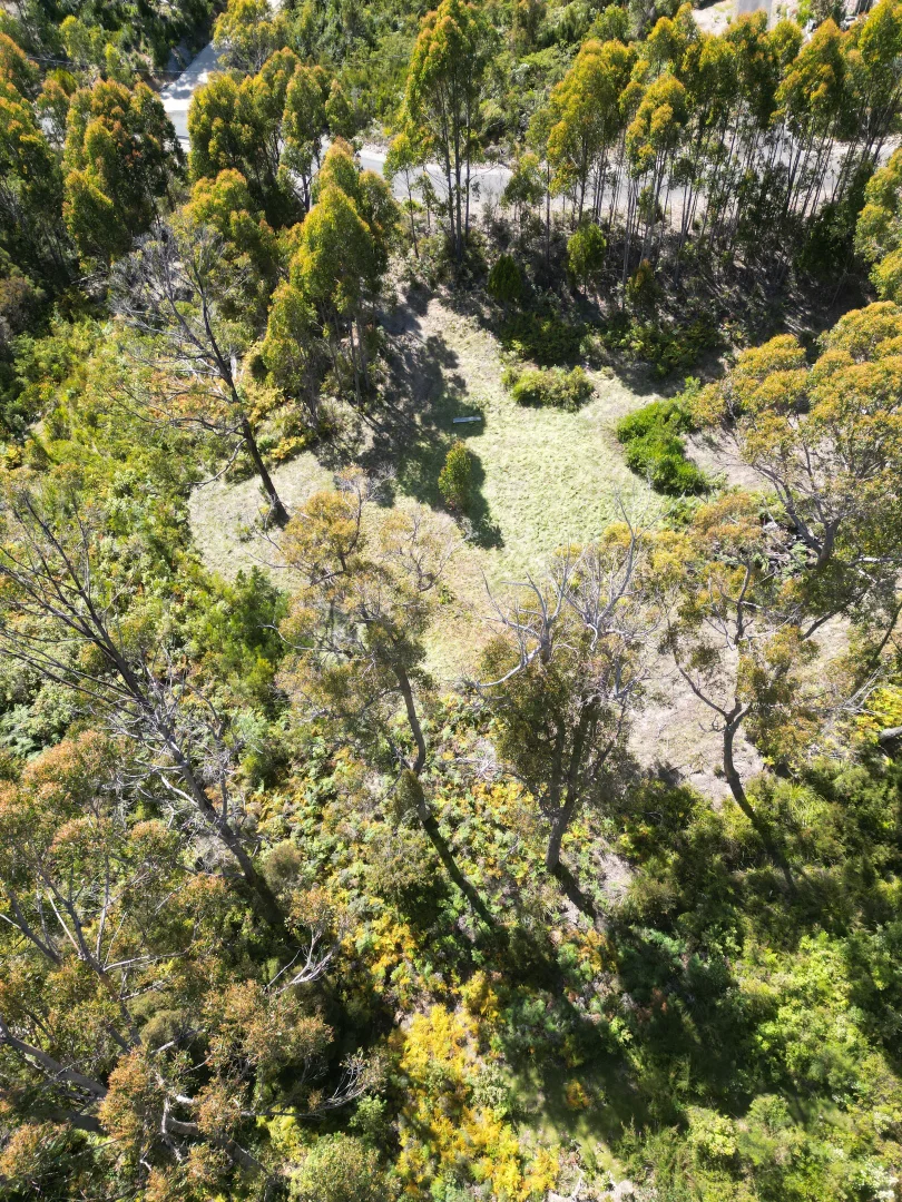 Image 9