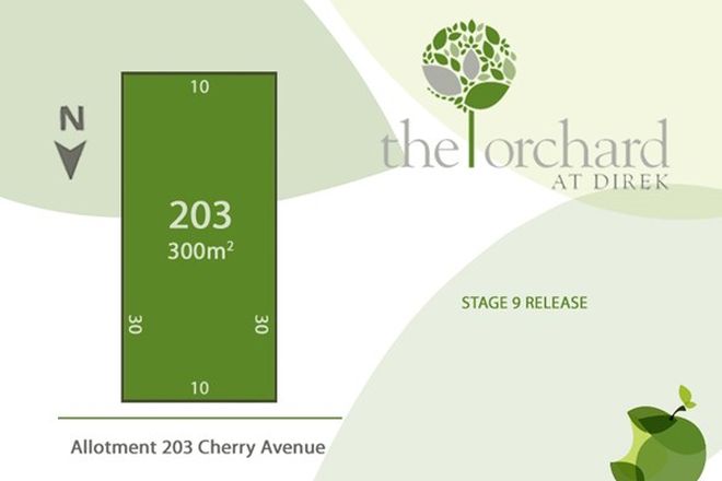 Picture of Lot 203 Cherry Avenue, DIREK SA 5110