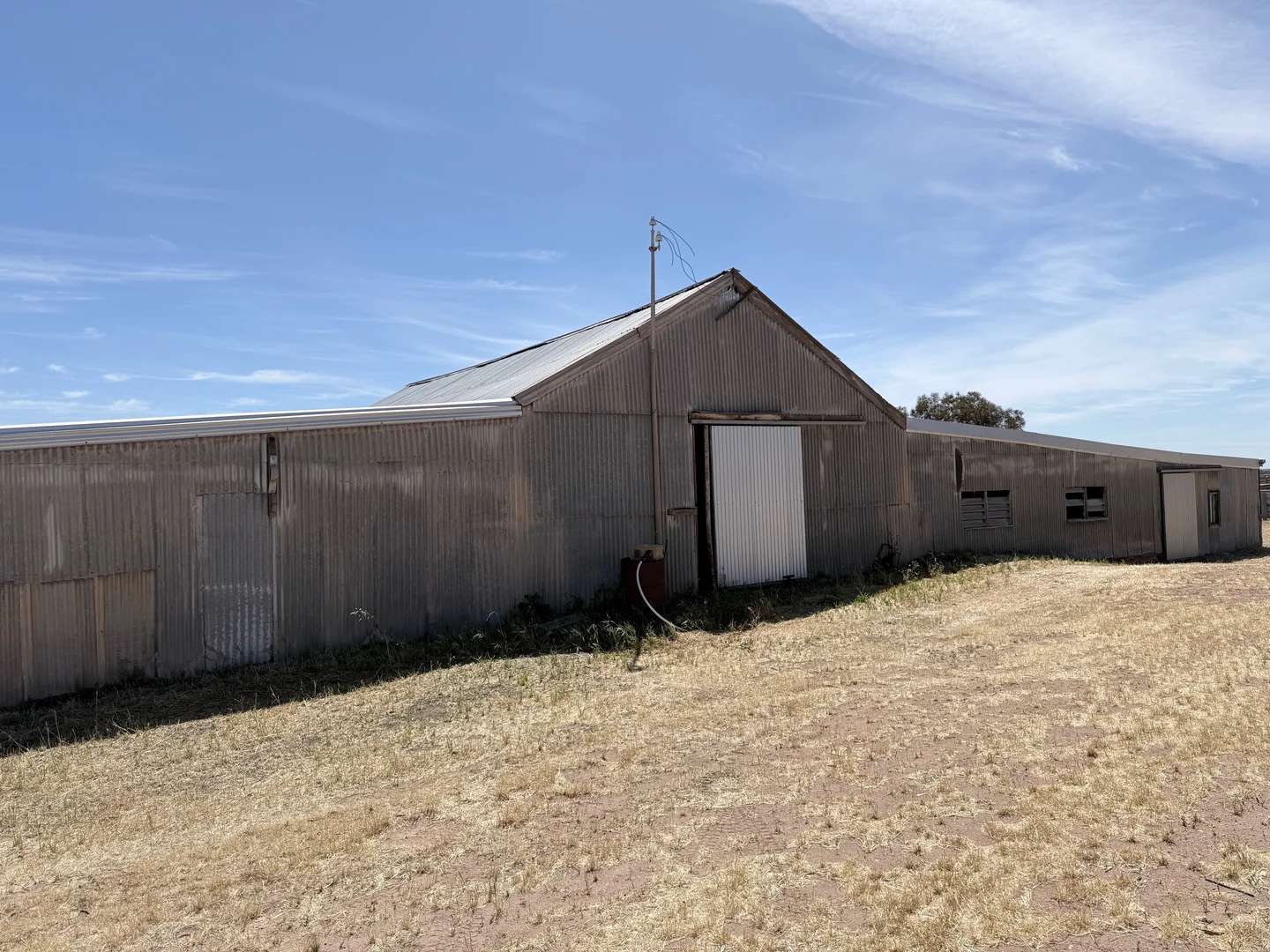 Image 15