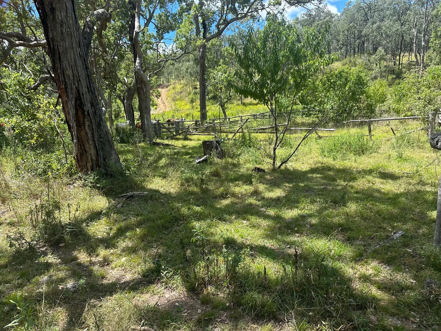 Image 14