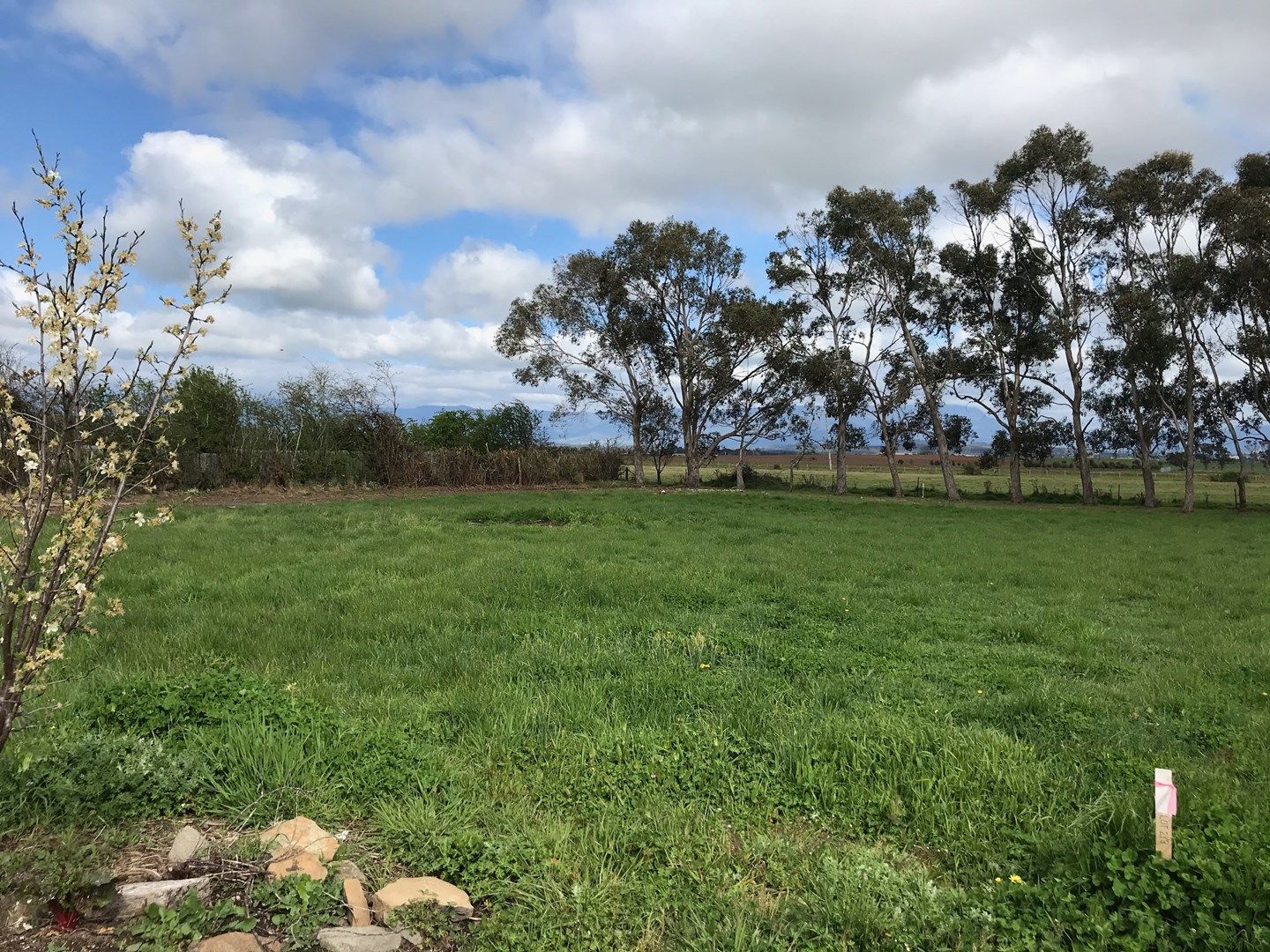 Lot 2 8A King Street, Cressy TAS 7302, Image 0