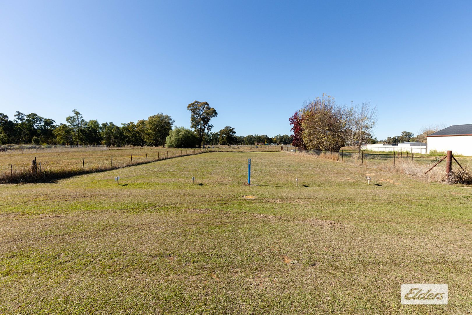 55 Scott Street, The Rock NSW 2655, Image 1