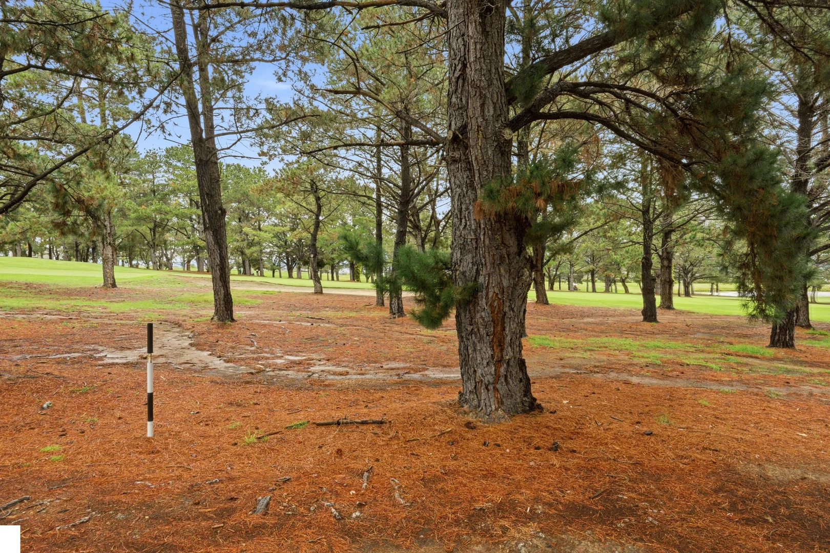 Additional image 18 of 2/106 Britten Jones Drive, Holt ACT 2615