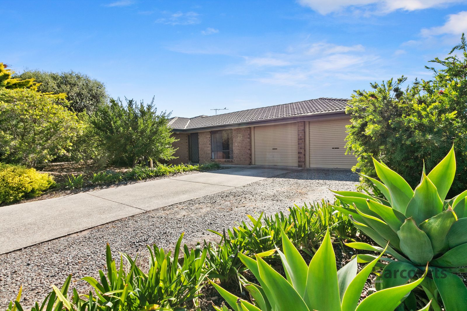 20 Montpelier Street, Woodcroft SA 5162, Image 2