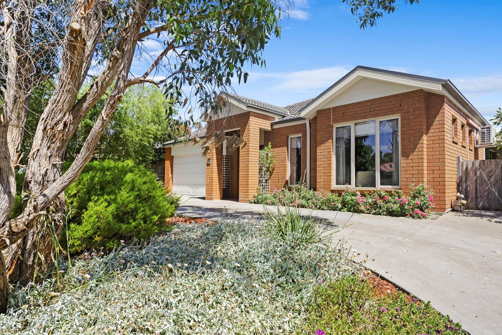 11 Peppermint Place, Somerville VIC 3912, Image 0