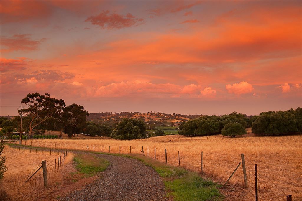 193 valley road, Angaston SA 5353, Image 1