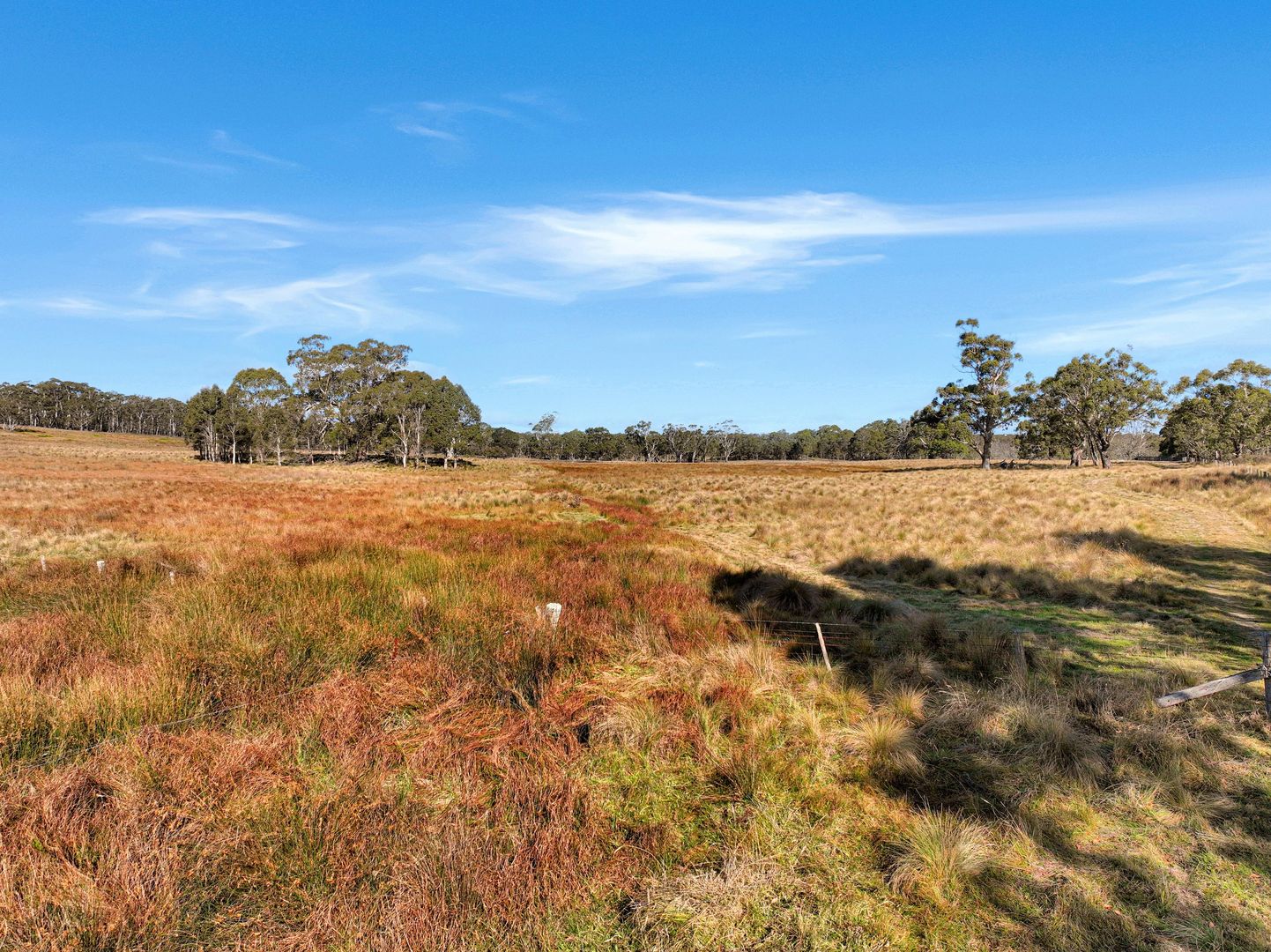 Lot 238 Rosehill Road, Bombala NSW 2632, Image 2