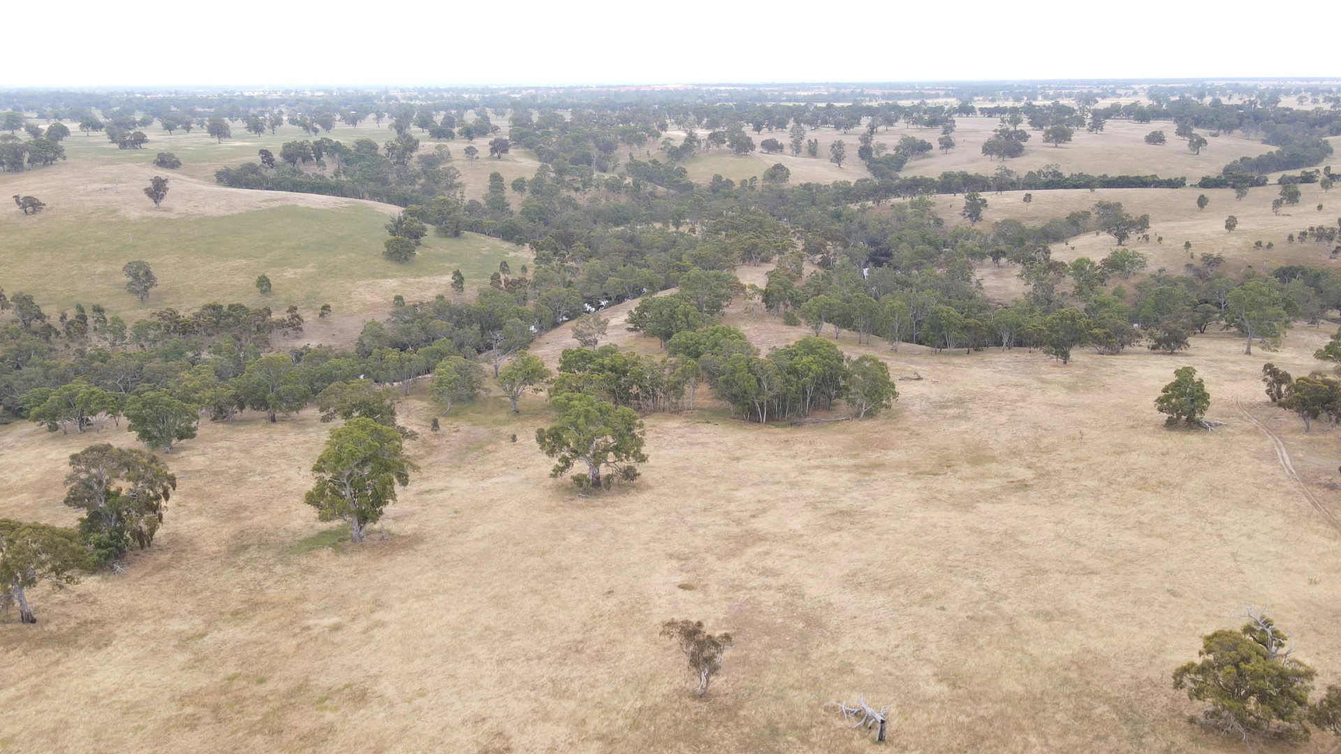 Additional image 23 of 596 Mostyn Lane, Balmoral VIC 3407