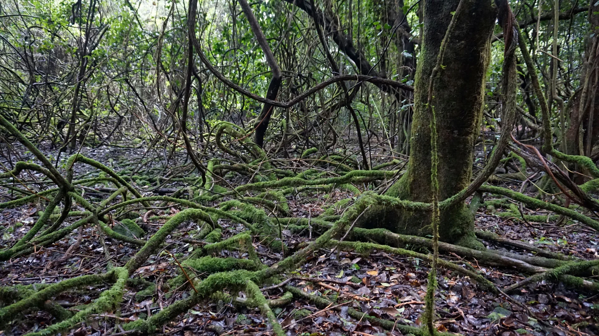 Additional image 20 of 15 Old Kangaloon Road, Robertson NSW 2577