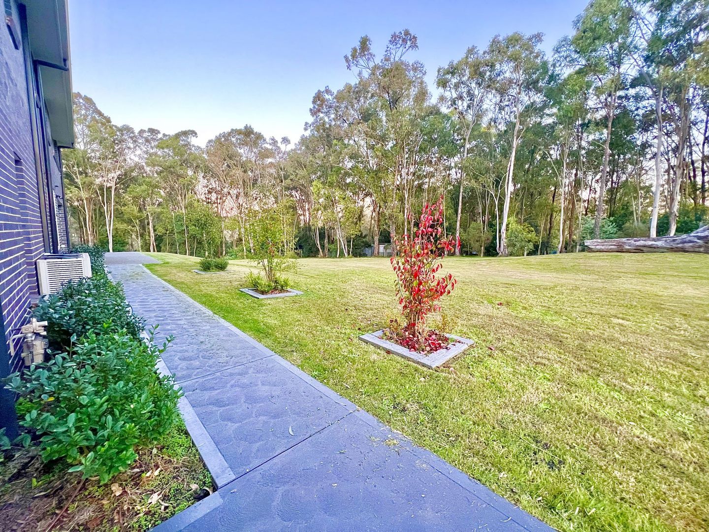 Bolwarra Heights NSW 2320 House for Sale Domain