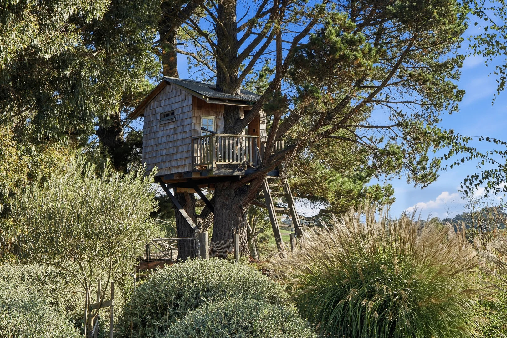 Additional image 27 of 1149 Edith Road, Edith NSW 2787