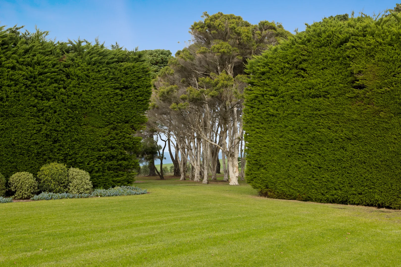 Additional image 19 of 1584 Boneo Road, Flinders VIC 3929