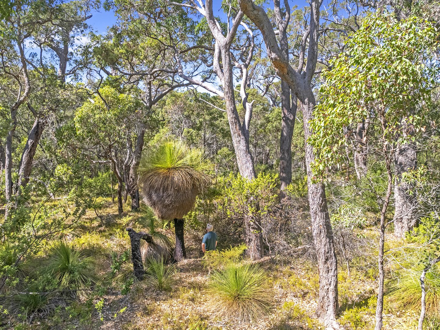 19 Rangnow Place, Margaret River WA 6285, Image 2