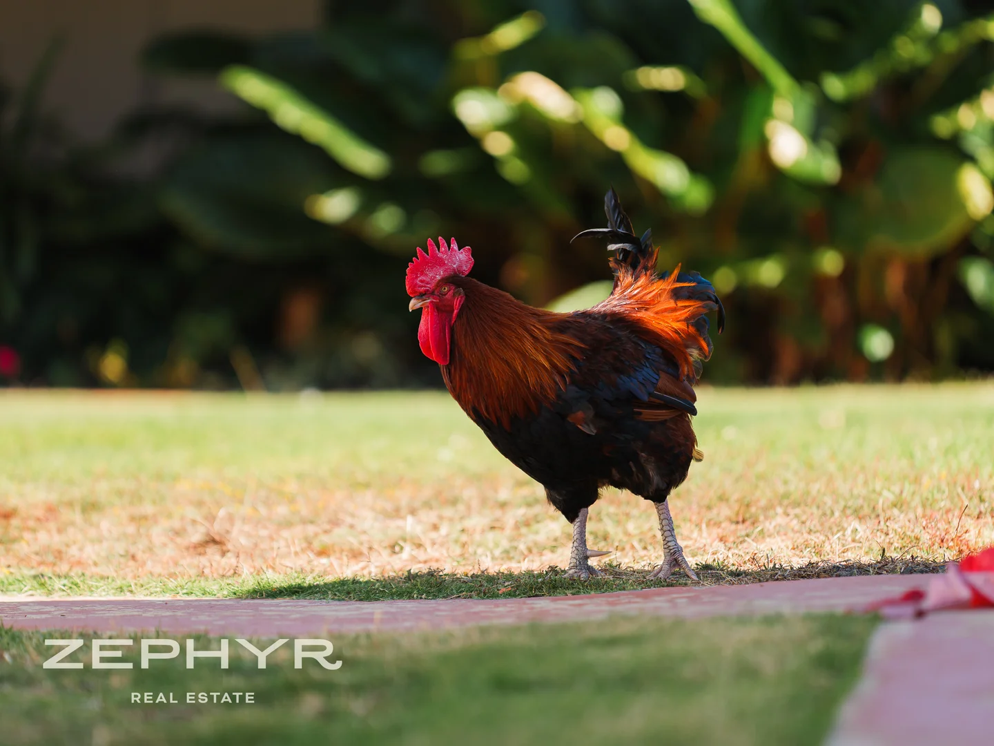 Additional image 52 of 4254 Donnybrook-Boyup Brook Road, Wilga WA 6243