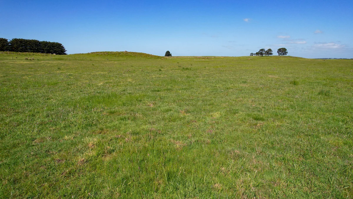 Additional image 32 of 170 Allans Road, Framlingham VIC 3265