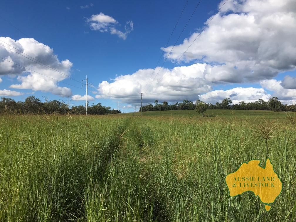 Rural in 115 Berries Road, CHILDERS QLD, 4660