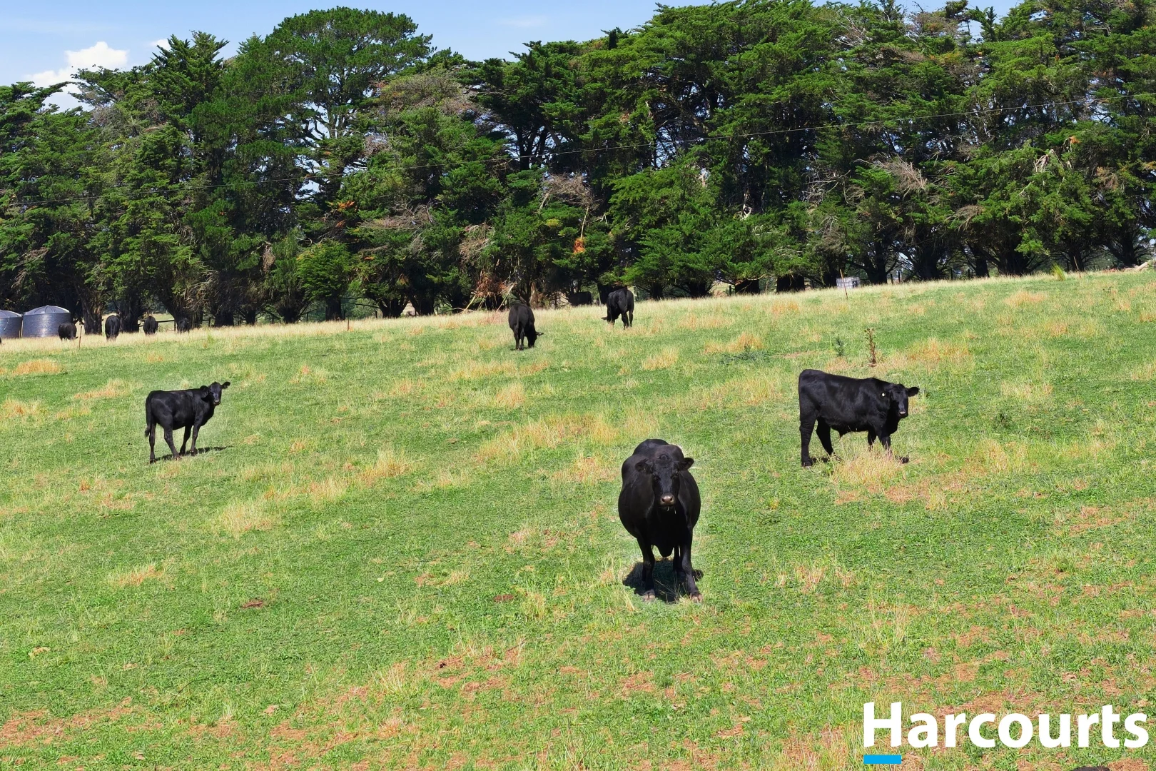 Additional image 18 of 8 Stubbers Lane, Mirboo North VIC 3871