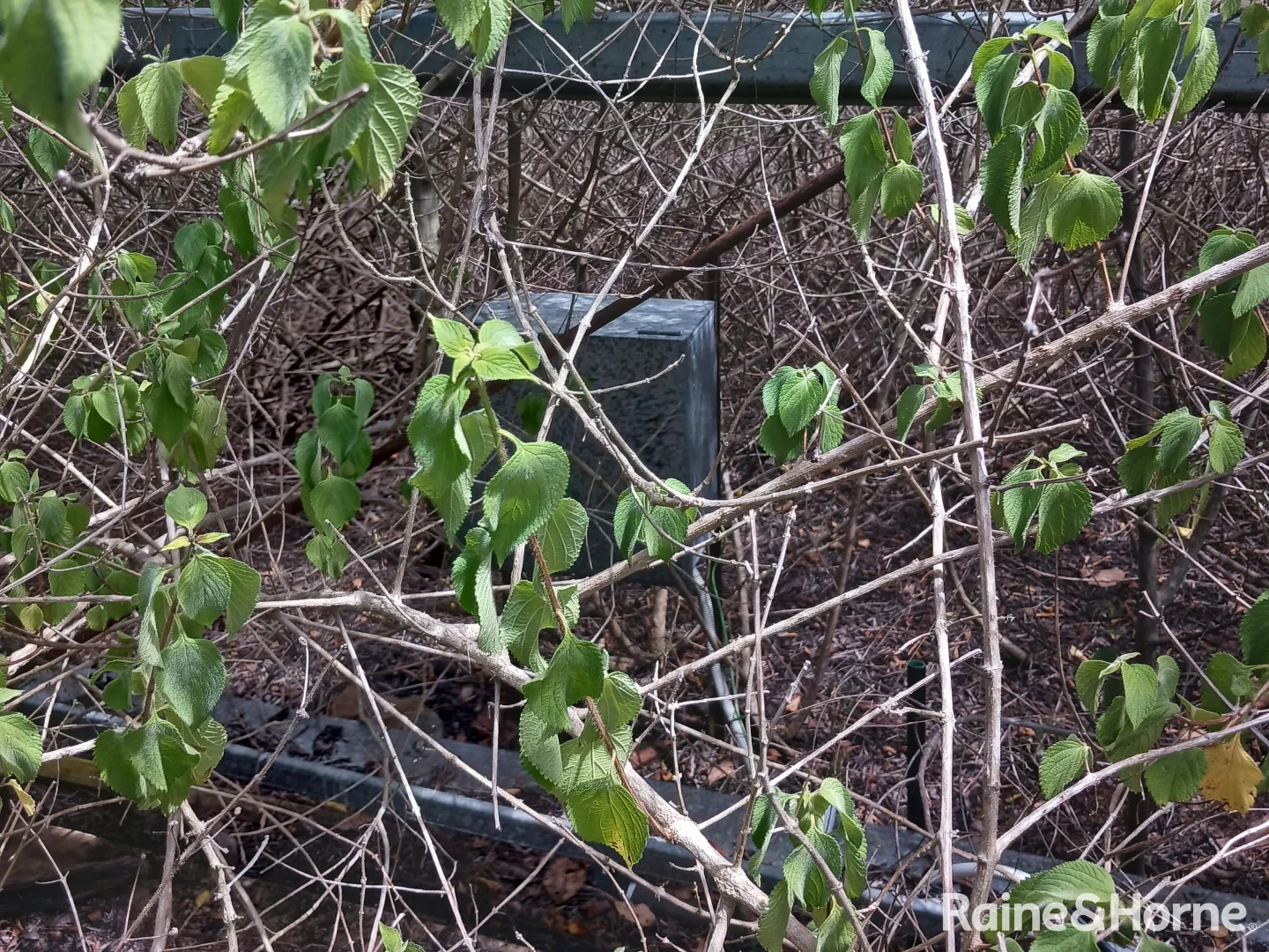 Additional image 11 of Lot 2 Barrs Road, Bucca QLD 4670