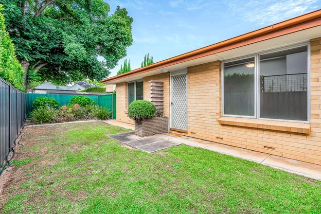 Picture of 3/205 Fisher Street, MALVERN SA 5061