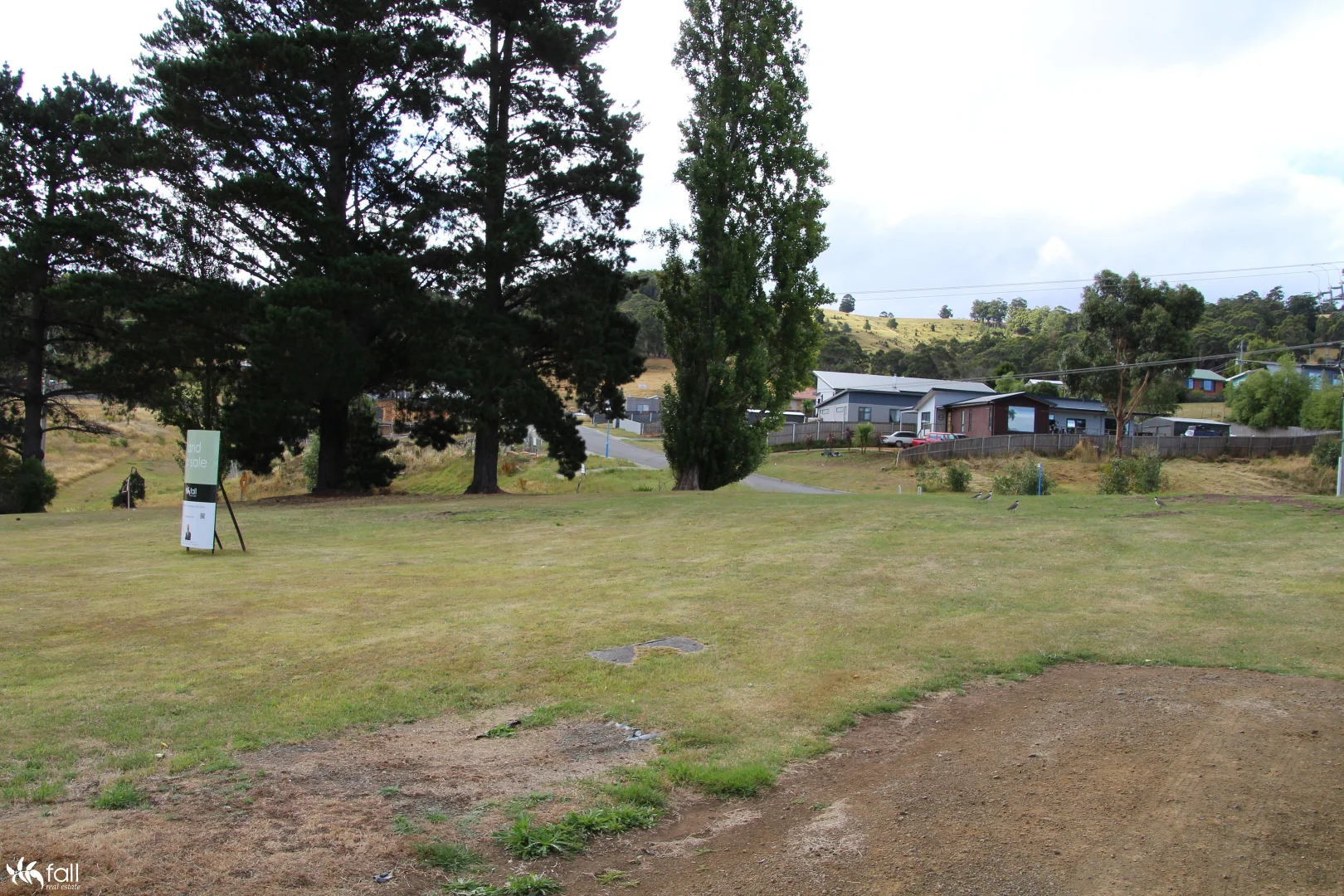 Image 20