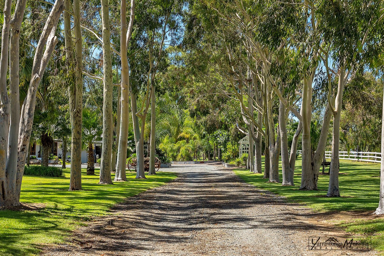 55 Binda Road, Mulwala NSW 2647 House for Sale 1,590,000