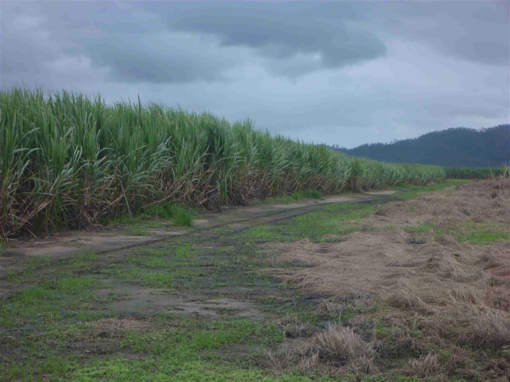 Ingham QLD 4850 Farm for Sale 321,000 Domain