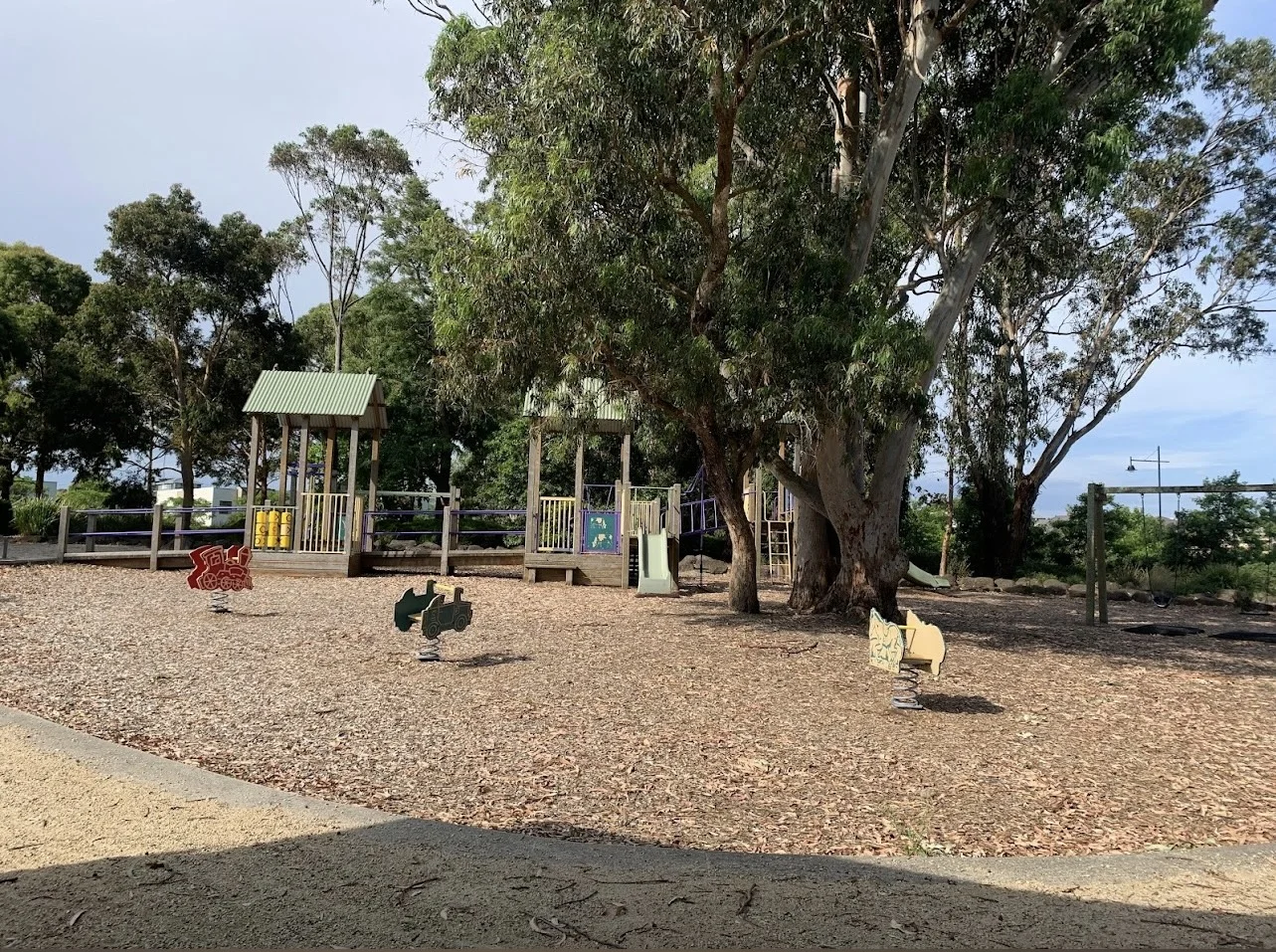 Image 8