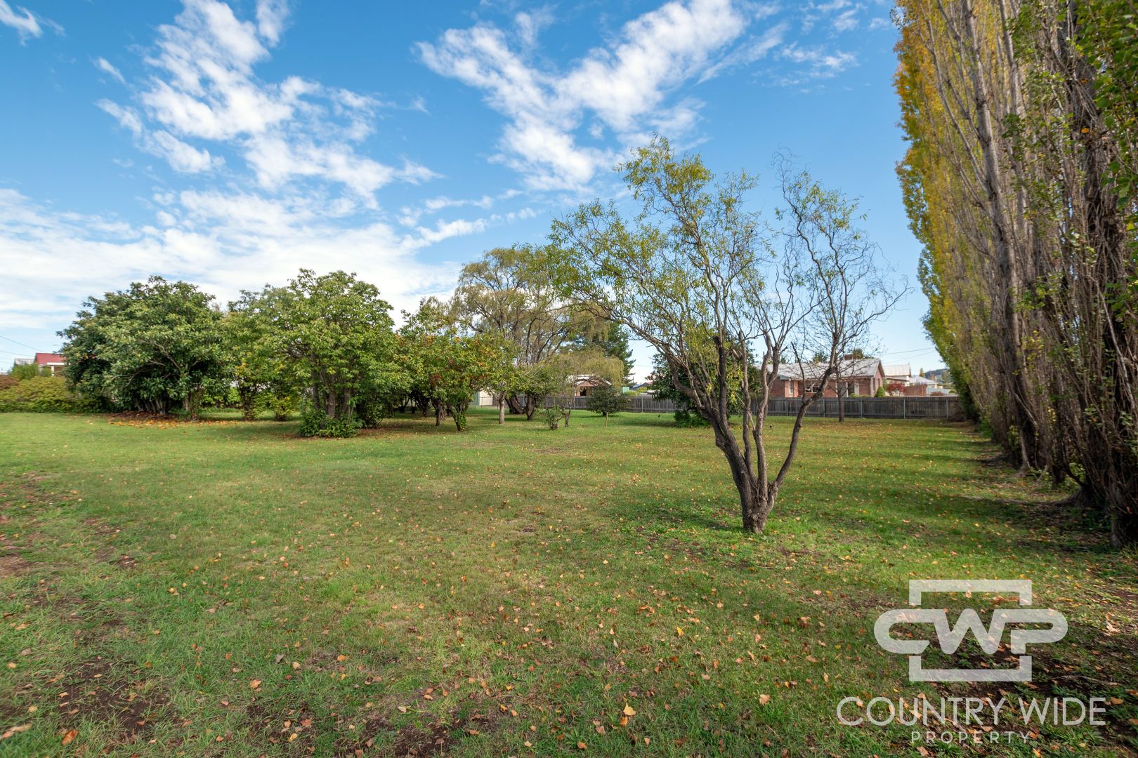 174 Macquarie, Glen Innes NSW 2370, Image 1