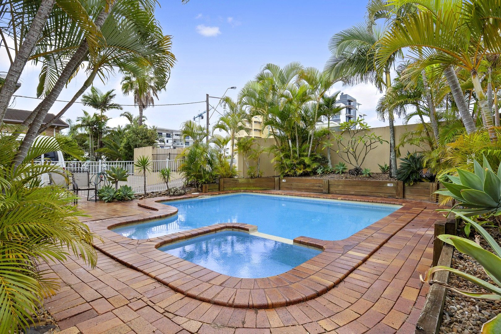 24/1444 Gold Coast Highway, Palm Beach QLD 4221, Image 1