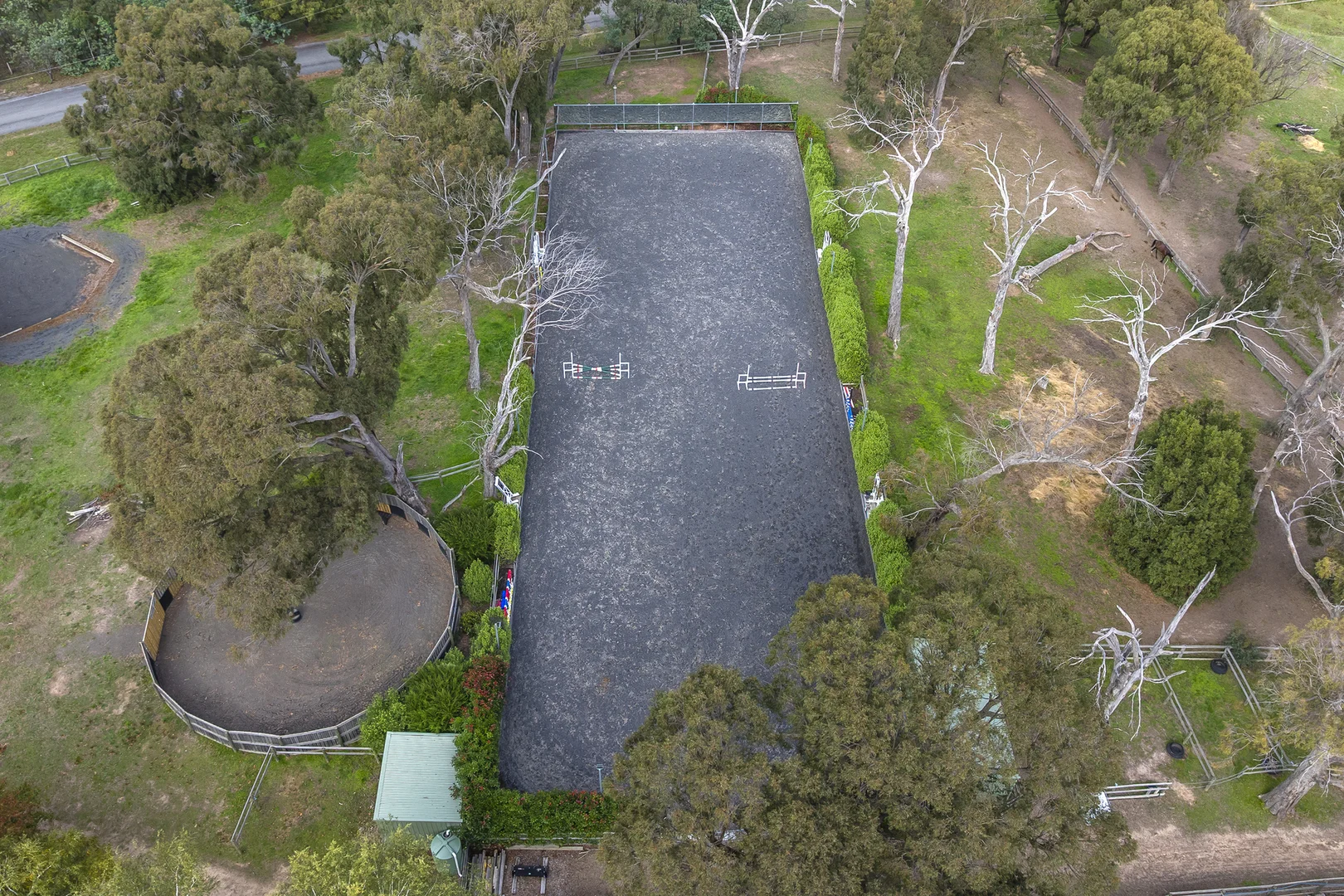 Image 12