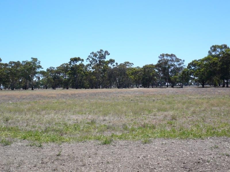 149 B. Hateleys Road, Arapiles VIC 3409, Image 2