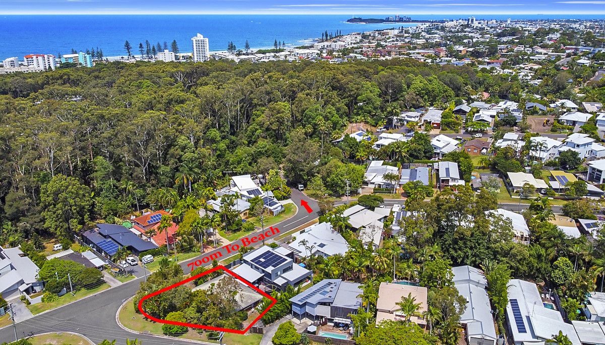 56 Oloway Crescent, Alexandra Headland QLD 4572, Image 0