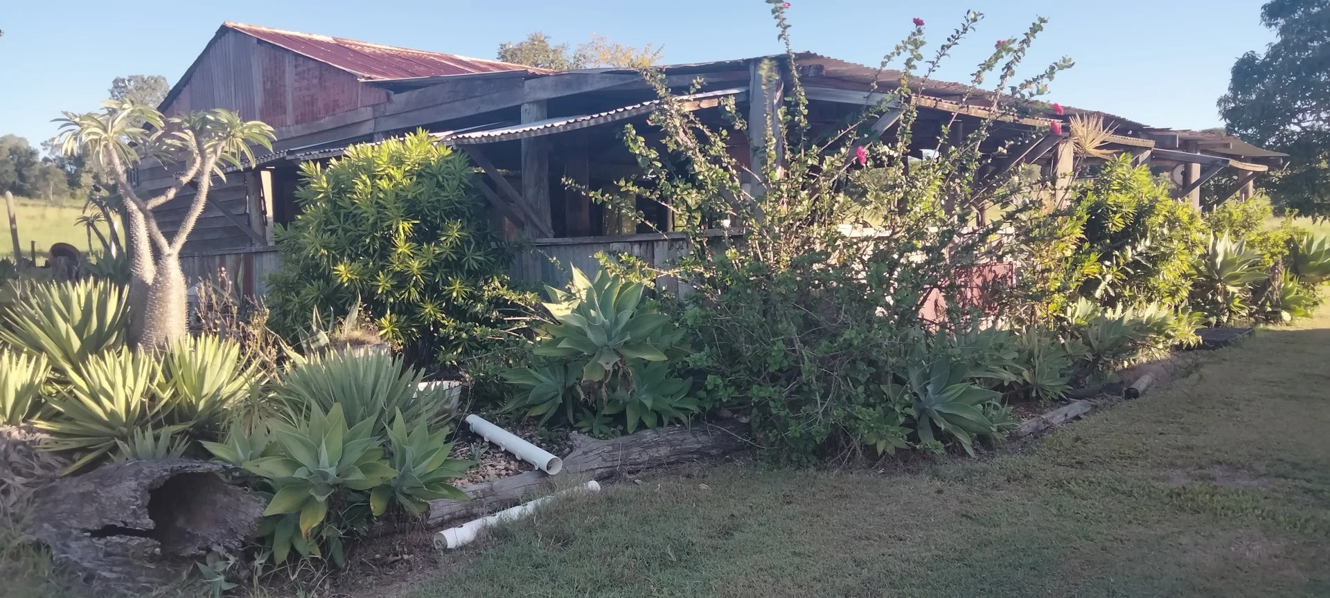 Primary image of 808 Pine Creek Road, Givelda QLD 4670