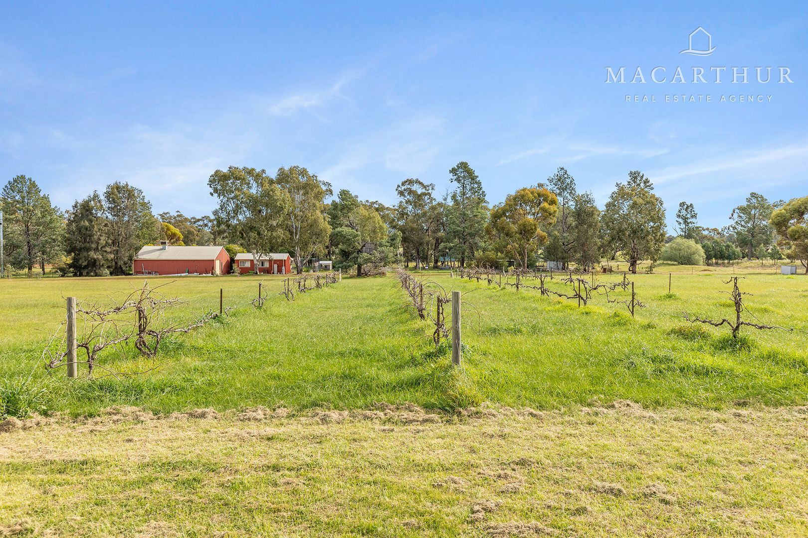 11 Devlin Street, Coolamon NSW 2701, Image 2