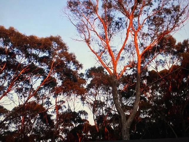 Image 18