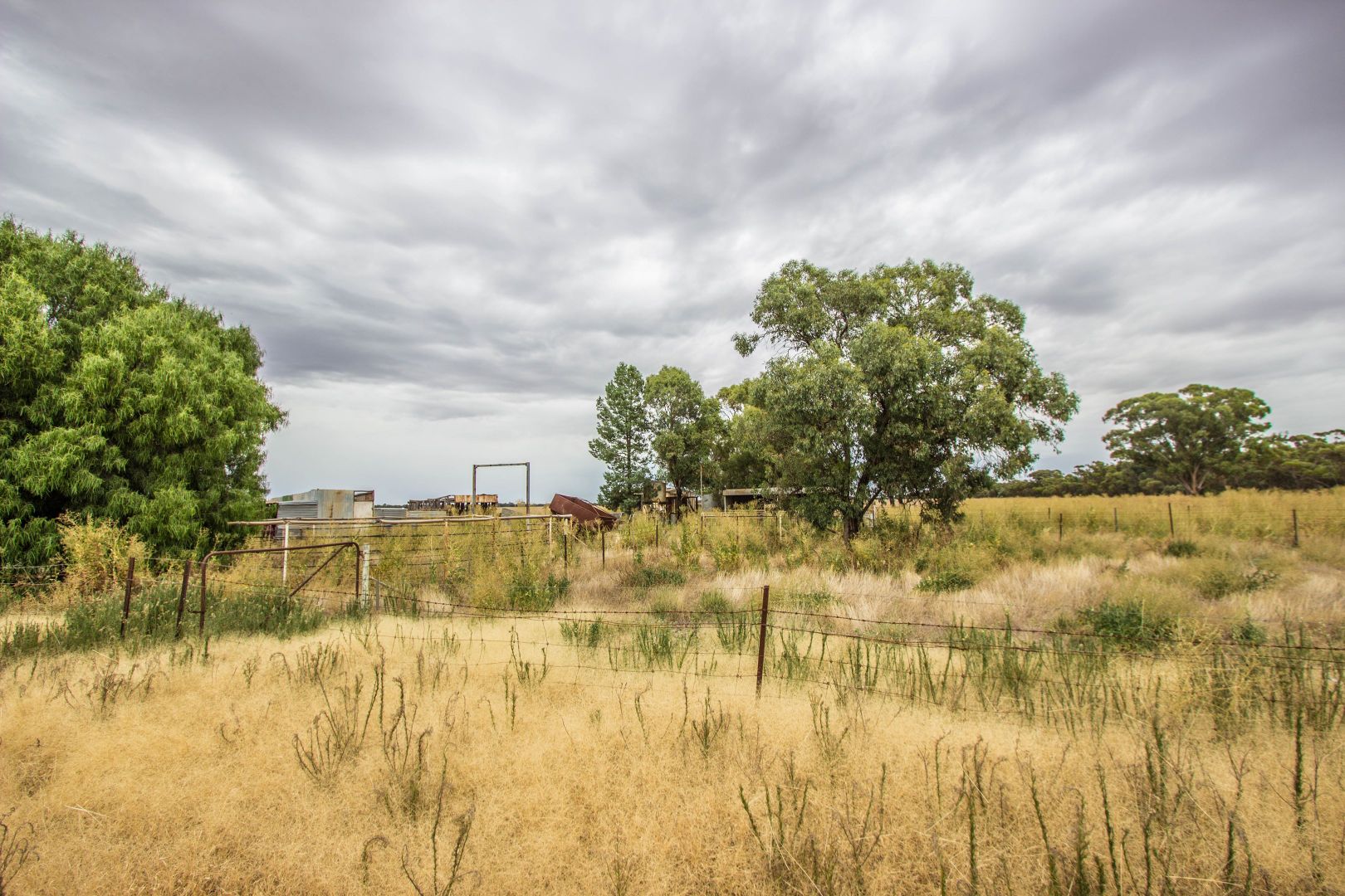 675 Johns Road, Barellan NSW 2665, Image 2