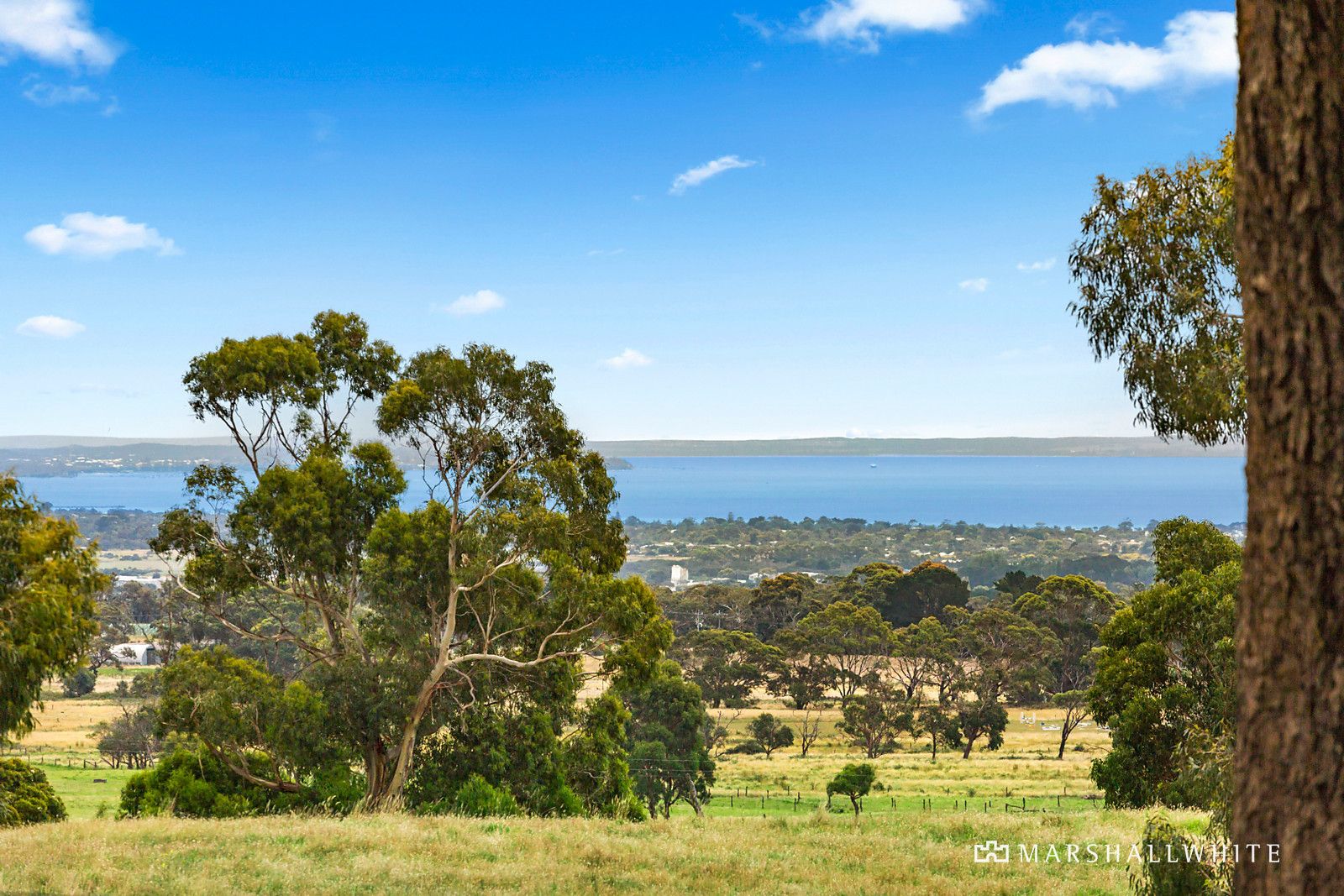 39 Hyslops Road, Main Ridge VIC 3928, Image 0